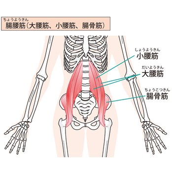 実は皆んなこっそり鍛えている大事な筋肉?!_20240317_1